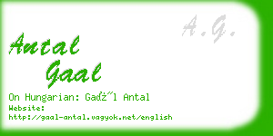 antal gaal business card